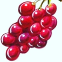 Tricana Imports logo
