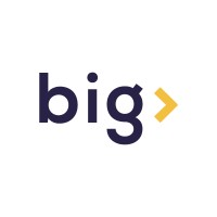 Big Smart logo