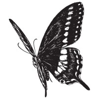 DocExtractor logo