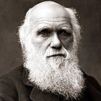 Darwin logo