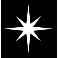 Night Protocol logo