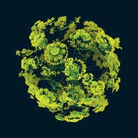 Rhizome Compliance logo
